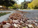 Street showing leaves on the roadway and a car parked further along the road.